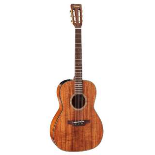 エレクトリック・アコースティックギター、Takamineの検索結果【楽器