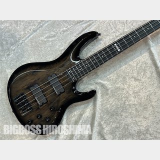 E-II BTL-4 (Black Natural Burst)