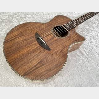 アコースティックギター／エレクトリック・アコースティックギター