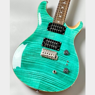 エレクトリックギター ＞ STタイプ、paulreedsmith(prs)、Custom24の