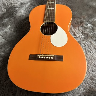 アコースティックギター／エレクトリック・アコースティックギター