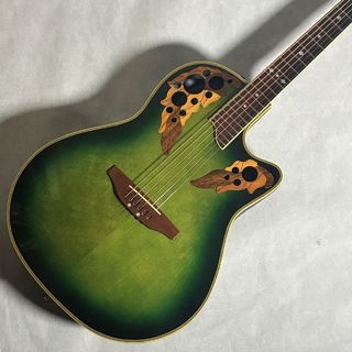アコースティックギター／エレクトリック・アコースティックギター