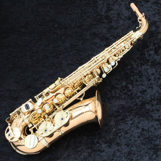 YANAGISAWA Alto A-992 Bronze アルトサックス 【御茶ノ水本店】