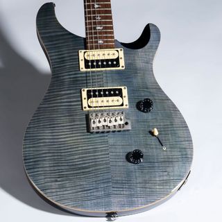 Paul Reed Smith(PRS) SECustom24【中古】