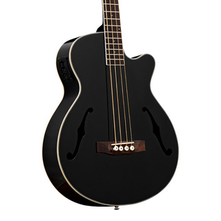 アコースティック・ベース／エレアコ・ベースの検索結果【楽器