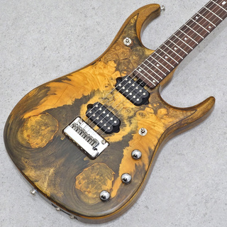 MUSIC MAN BFR JP15-6 BUTTERSCOTCH BURL 【ジョン・ペトルーシ 限定生産シグネイチャーモデル】 【実物画像】