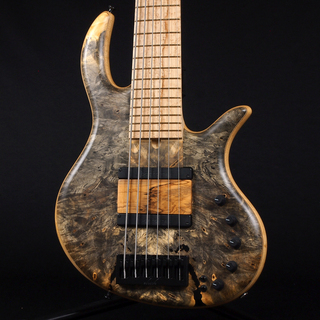 Elrick Gold Series e-volution 6st Buckeye Burl