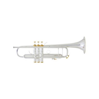 Bach 180ML37/25 SP/GP【Bb トランペット】 【トランペットステーション特注モデル】 【2024 Bach trumpet fa...