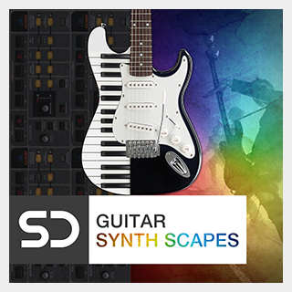 SAMPLE DIGGERS GUITAR SYNTH SCAPES