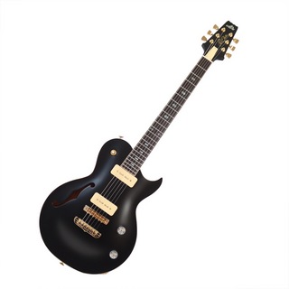 APII PE-5350GE/SH MTBK エレキギター