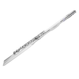 Roland 《5月上旬入荷予定分 / ご予約商品》 Aerophone Brisa エアロフォン ブリサ ウインドシンセAE-Brisa