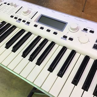 KORG 【店頭展示品】KROSS2-61 限定ホワイトモデル｜専用ケース・TRITON音色SDカード付属