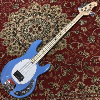 Sterling by MUSIC MAN RAY4-M1