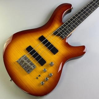 CLIVEの検索結果【楽器検索デジマート】