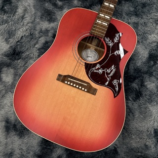 エレクトリック・アコースティックギター、Gibsonの検索結果【楽器検索