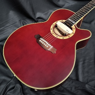 エレクトリック・アコースティックギター、Takamineの検索結果【楽器