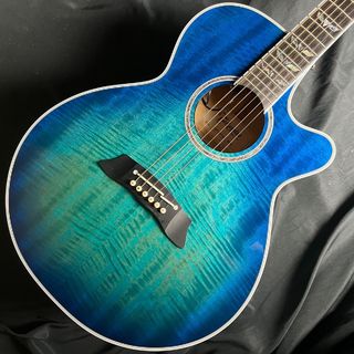 Takamine TDP181AC