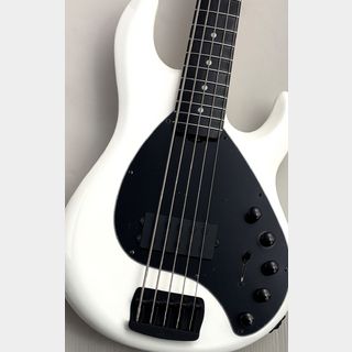 MUSIC MAN 【48回無金利】DarkRay 5 Limited Color  -White-【NEW】