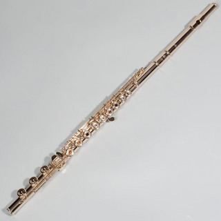 Altus PSG II REH/INLINE