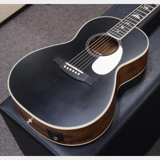 アコースティックギター／エレクトリック・アコースティックギター