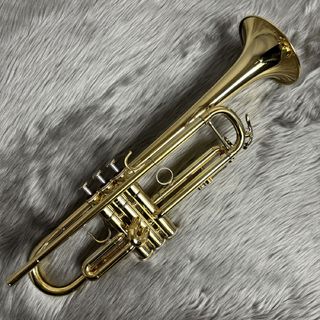 YAMAHA YTR-800GS/GP 金メッキ【USED】
