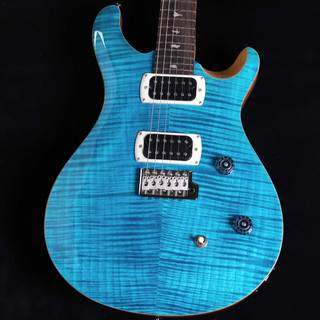 PRS、SE CE 24の検索結果【楽器検索デジマート】