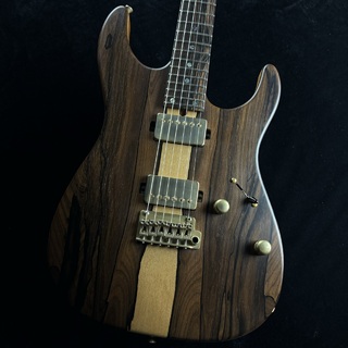 T's Guitars DST-Spider22 / Flame w/ Buzz Feiten Tuning