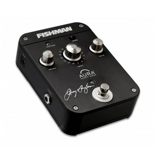 Fishman、auraの検索結果【楽器検索デジマート】