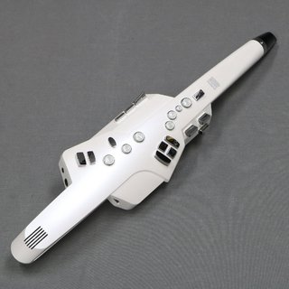 Roland AE-10 Aerophone エアロフォン 【御茶ノ水本店】