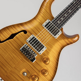 Paul Reed Smith(PRS) DGT Semi-Hollow Limited Edition "Artist Grade Top" McCarty Sunburst