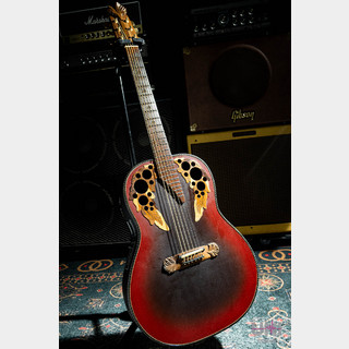 アコースティックギター／エレクトリック・アコースティックギター