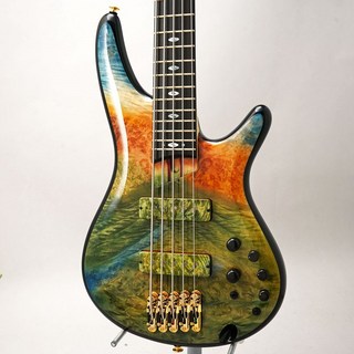 IbanezJCSR2023-RCY [限定モデル]