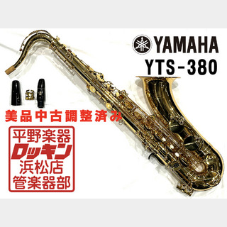 サックス／サクソフォン／サキソフォン ＞ テナー・サックスの検索結果