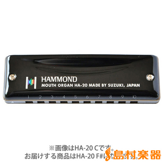 Hammond HAMMOND HA-20 F# スズキ 10穴ハーモニカ　F#