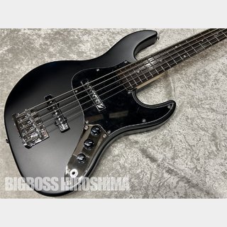 GrassRoots G-AMAZE-5-DX(Black Satin)