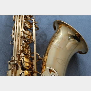 管楽器・吹奏楽器、YANAGISAWAの検索結果【楽器検索デジマート】