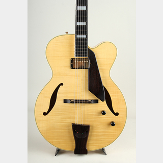 エレキギター、D'Aquistoの検索結果【楽器検索デジマート】