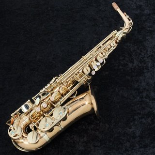 YANAGISAWA Alto A-WO2 Bronze  アルトサックス 【御茶ノ水本店】