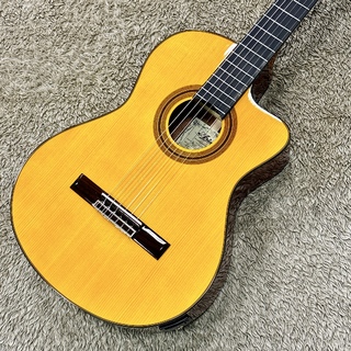 ARIA A-35SCE 【杉 / シダー単板】【エレガット】