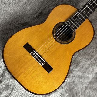 JOSE YACOPI 1974年製 松/ローズ【USED】