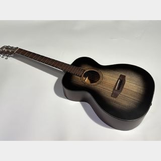 アコースティックギター／エレクトリック・アコースティックギター、K