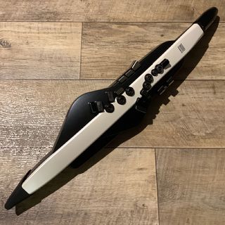 Roland AE-20 Aerophone エアロフォン