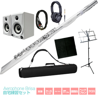 Roland AE-BRISA - Aerophone Brisa 自宅練習セット ウィンドシンセサイザー フルートスタイル エアロフォン