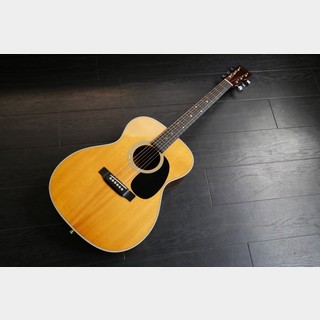 アコースティックギター／エレクトリック・アコースティックギター
