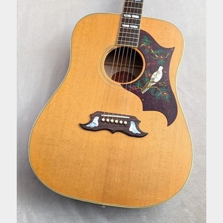 アコースティックギター、インディアンローズウッド OR Indianの検索