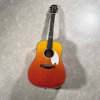 アコースティックギター／エレクトリック・アコースティックギター