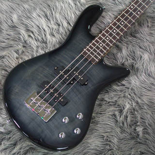 Spector Legend 4 Standard Black Stain Gloss #WI23040068【アウトレット品・50%OFF!!】