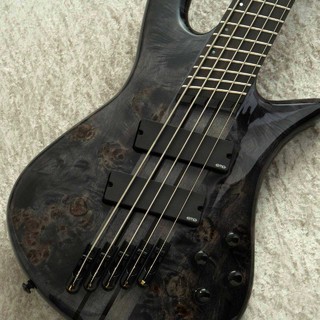 Spector NS Dimension MS 5 Gloss EE -Translucent Black / TBK- 【12本限定生産】