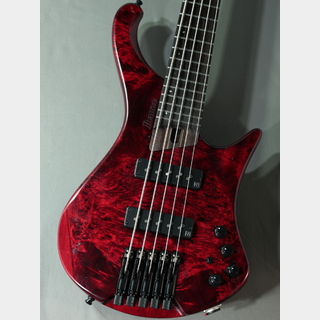 Ibanez EHB1505 Stained Wine Red Low Gloss【重量3.12kg】