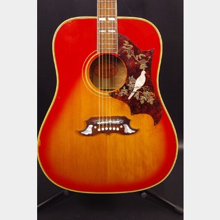 アコースティックギター、Gibson、Doveの検索結果【楽器検索デジマート】